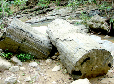 Bosque-Petrificado-de-Puyango